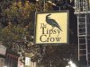 TIpsy Crow.